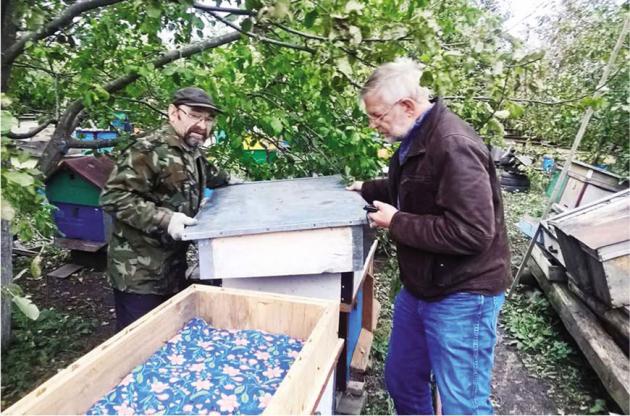 Гость из Голландии на пасеке Виктора Кудряшова (слева). Хирино, 2017 г. Гость из Голландии на пасеке Виктора Кудряшова (слева). Хирино, 2017 г.