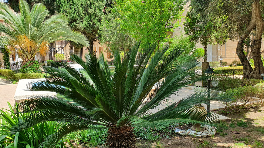 «Сады подворья» на Сергиевском подворье в Иерусалиме