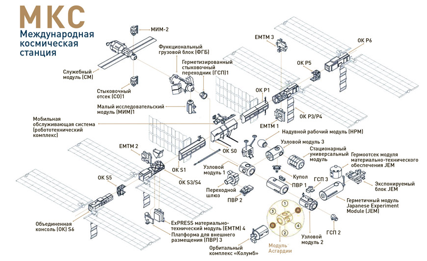 Международная космическая станция. Планируемое месторасположение узлового модуля «Асгардия» в общей архитектуре МКС