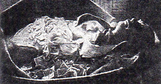 Тело павшего за свободу в дни Февральской революции 1917 г ода. Как писал журнал «Огонек», для которого было сделано это фото: «Публика буквально покрыла тело добровольными приношениями в пользу жертв великого переворота».