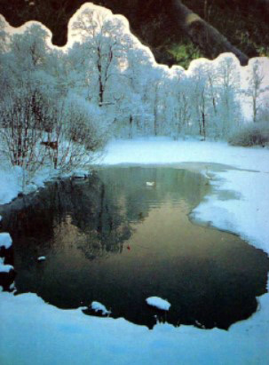 Пруд в снежной раме